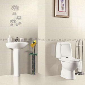 Toilet Use Ceramic Closestool CNT-1019