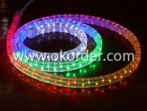 LED Rope Light- 36leds/m 220V/110V
