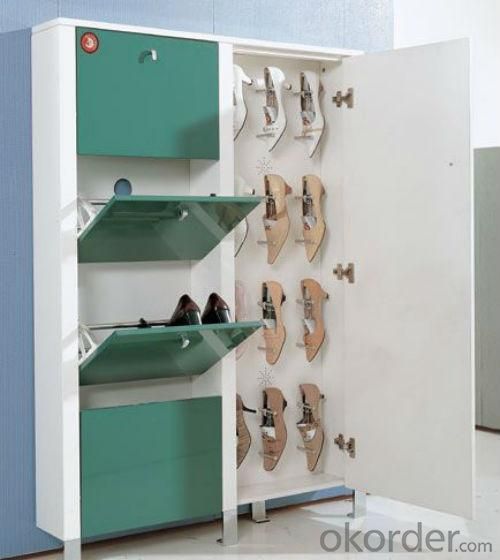 Fashion Shoe Racks System 1