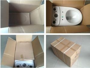 Ceramic Toilet CNT-1013 System 1