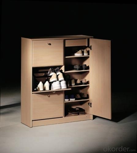 New Design Shoe Racks System 1