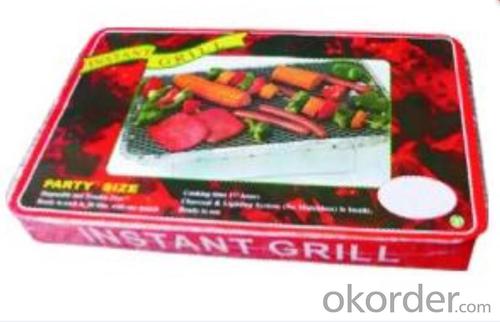 Instant Grill--I4831 System 1