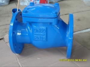 Flange Swing Check Valve for Water, Oil, Gas