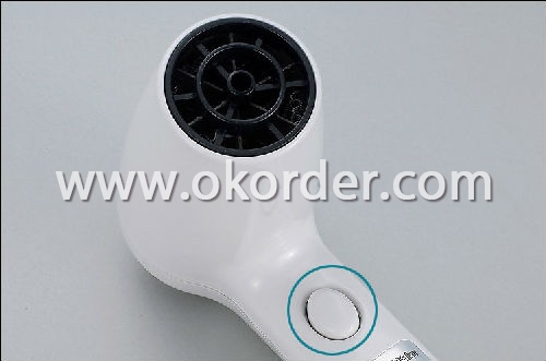 High Power Wall Mounted Hair Dryer
