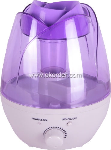 Rose Humidifier