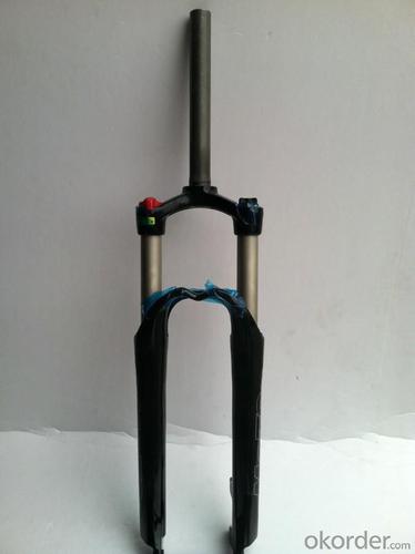 Bicycle Lock and fork Lock System 1