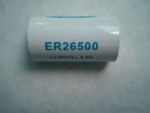 Er26500 Battery Ls26500 System 1