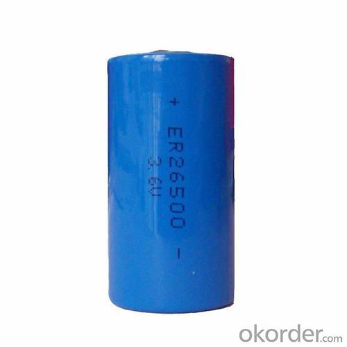 9000mAh ER26500 Primary Lithium Battery System 1