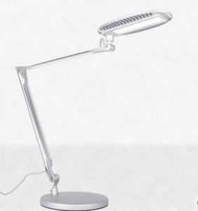 LED Table Lamp Two Branches Round Lamp 12W