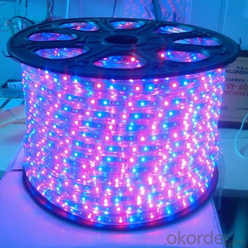 LED Strip Light Flexible strip light/ SMD5050 System 1