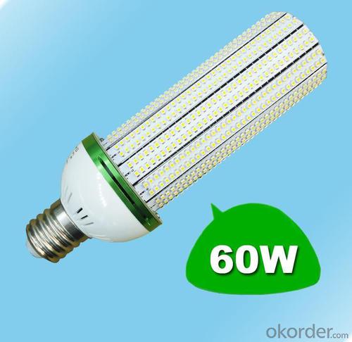 LED Corn Light LED Garden Lights 60W System 1