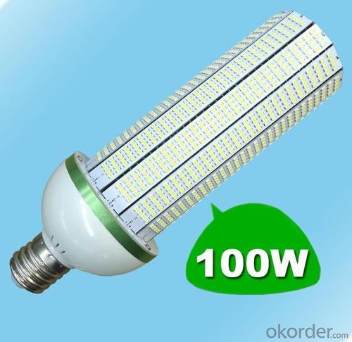 LED Corn Light LED Garden Lights 100W System 1