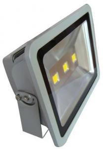 LED RGB Flood Light COB IR Inner Controller High Brightness IP 65 200W