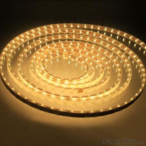 LED Strip Light Flexible strip light/ SMD3528 120LEDs/m ALL Colors/RGB/ Dimmable/Waterproof IP65 System 1