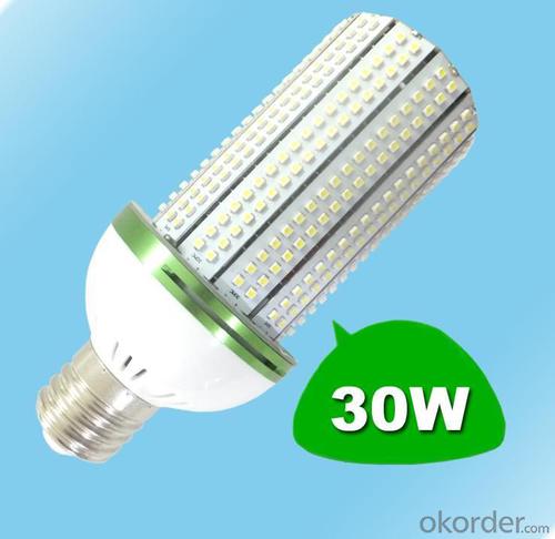 LED Corn Light LED Garden Lights 30W System 1