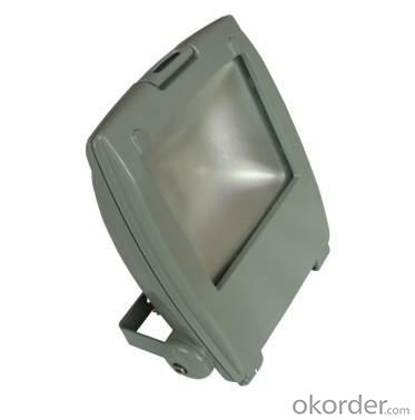 LED RGB Flood Light COB IR Inner Controller High Brightness IP 65 20W