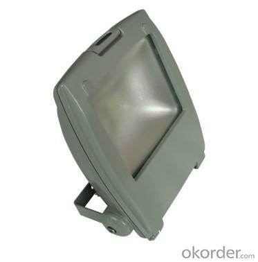 LED RGB Flood Light COB IR Inner Controller High Brightness IP 65 20W System 1