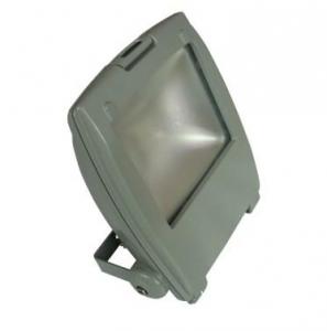 LED RGB Flood Light COB IR Inner Controller High Brightness IP 65 20W System 1