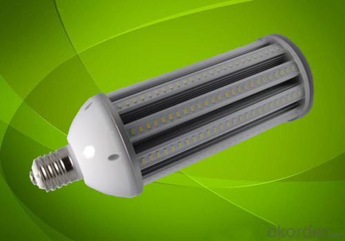 LED Corn Light LED Garden Lights Without Fan 80W System 1