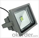 LED Flood Light High Brightness 30W System 1