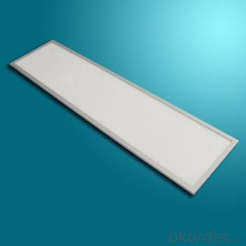 Triac Dimmable LED Panel Light 1200X300mm 48W