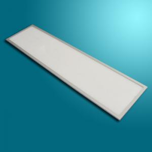 Triac Dimmable LED Panel Light 1200X300mm 48W System 1