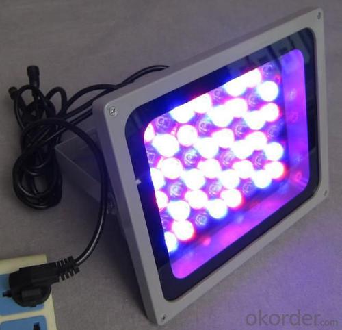 LED RGB Flood Light 1W High Power High Brightness 50W System 1