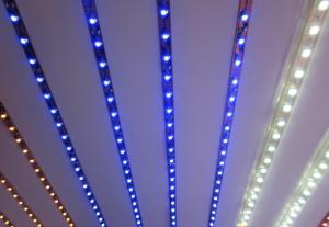 LED Strip Light Flexible strip light/ SMD3528 120LEDs/m ALL Colors/RGB/ Dimmable/Waterproof IP68 System 1