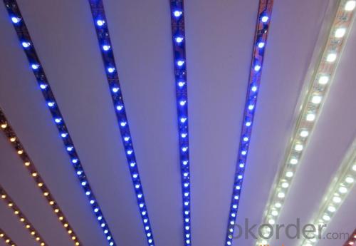 LED Strip Light Flexible strip light/ SMD3528 120LEDs/m ALL Colors/RGB/ Dimmable/Waterproof IP68 System 1