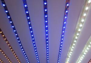 LED Strip Light Flexible strip light/ SMD3528 120LEDs/m ALL Colors/RGB/ Dimmable/Waterproof IP68