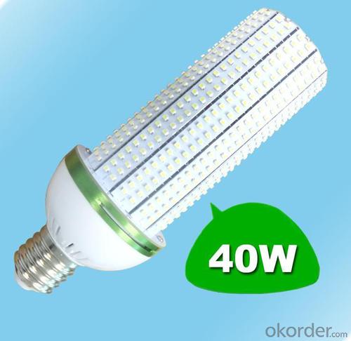 LED Corn Light LED Garden Lights 40W System 1