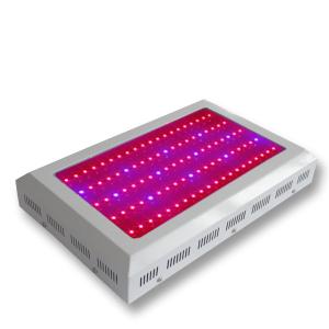 LED Grow Light Red630 Blue460 with Full Spectrum 100x3Watt