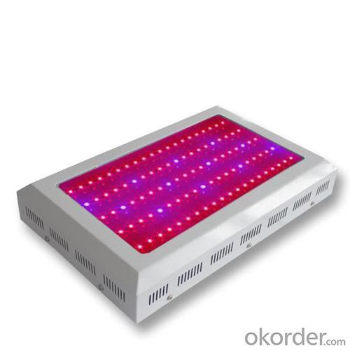 LED Grow Light Red630 Blue460 with Full Spectrum 100x3Watt System 1