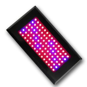 LED Grow Light Red630 Blue460 with 90x1Watt  Square