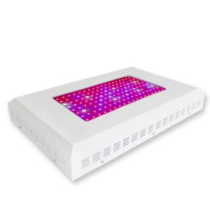 LED Grow Light Red630 Blue460 with 144x3Watt System 1