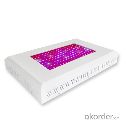 LED Grow Light Red630 Blue460 with 144x3Watt System 1