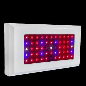 LED Grow Light Red630 Blue460 with Full Spectrum 55x3Watt System 1