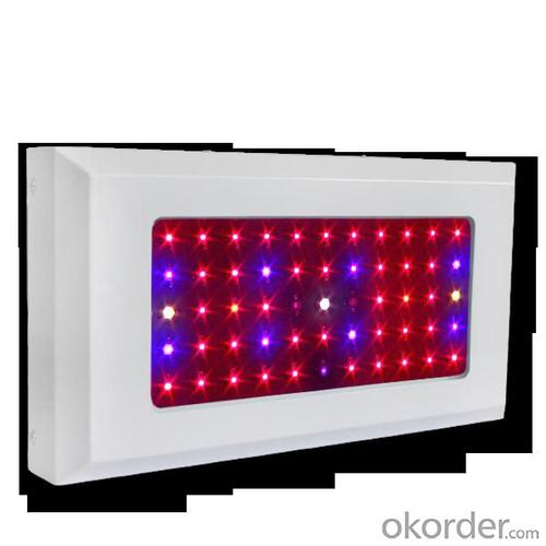 LED Grow Light Red630 Blue460 with Full Spectrum 55x3Watt System 1