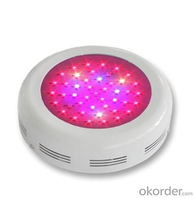 LED Grow Light Red630 Blue460 OEM Common Ratio 45*3W System 1