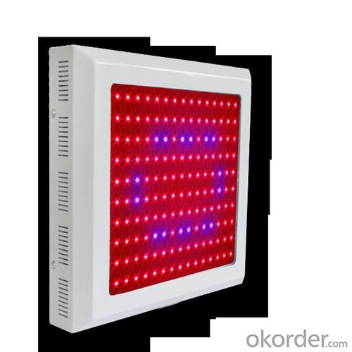 LED Grow Light Red630 Blue460 with150x1Watt  Square System 1