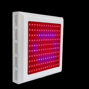 LED Grow Light Red630 Blue460 with Full Spectrum 150x1Watt  Square