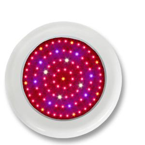 LED Grow Light Red630 Blue460 with Full Spectrum 90x1Watt