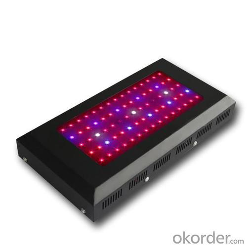 LED Grow Light Red630 Blue460 with  80x3Watt System 1