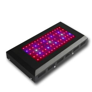 LED Grow Light Red630 Blue460 with  80x3Watt