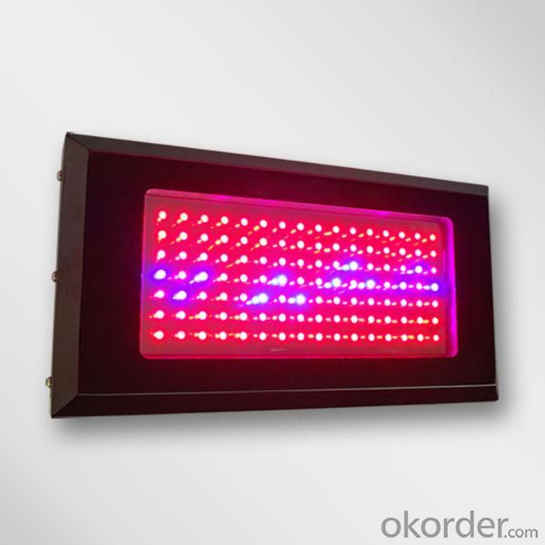 LED Grow Light Red630 Blue460  with  Full Spectrum 120x1Watt  Square