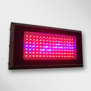 LED Grow Light Red630 Blue460  with  Full Spectrum 120x1Watt  Square System 1