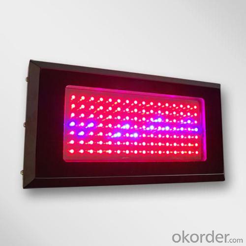 LED Grow Light Red630 Blue460  with  Full Spectrum 120x1Watt  Square System 1