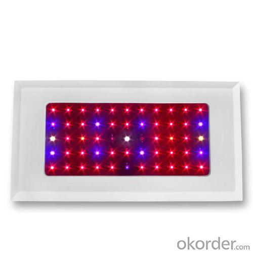 LED Grow Light Red630 Blue460 with  55x3Watt System 1