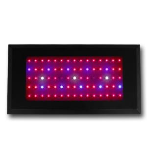 LED Grow Light Red630 Blue460 with 75x3Watt