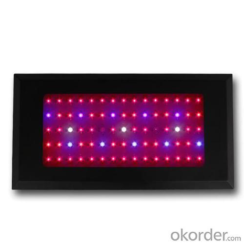 LED Grow Light Red630 Blue460 with 75x3Watt System 1